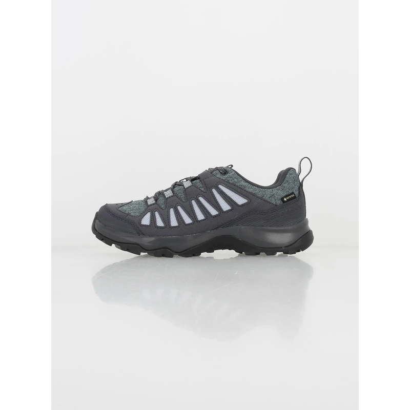 Chaussures De Randonnée Eos Gtx Gris Femme - Salomon