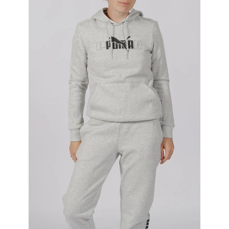 Sweat Ă Capuche Essential Gris Femme - Puma
