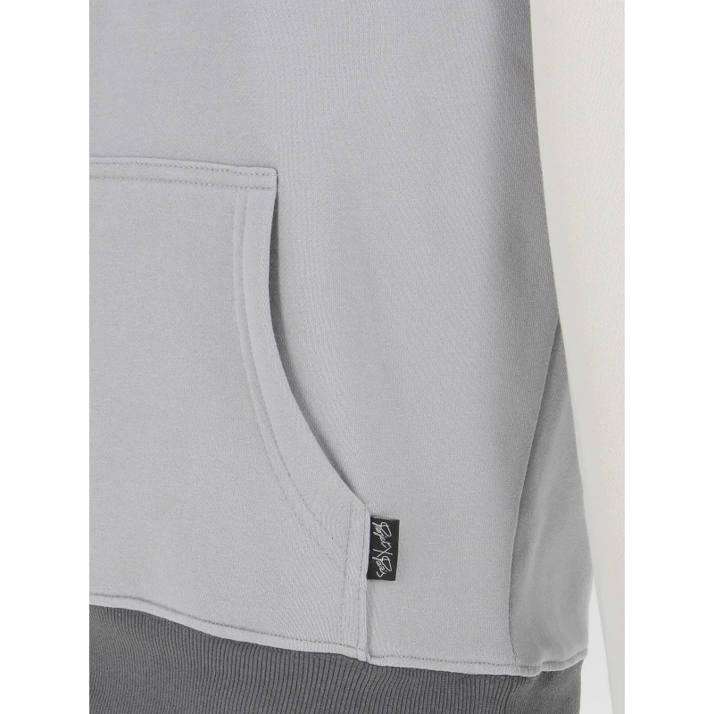 Sweat Ă Capuche Tricolore Double Logo Gris - Project X Paris â Image 4